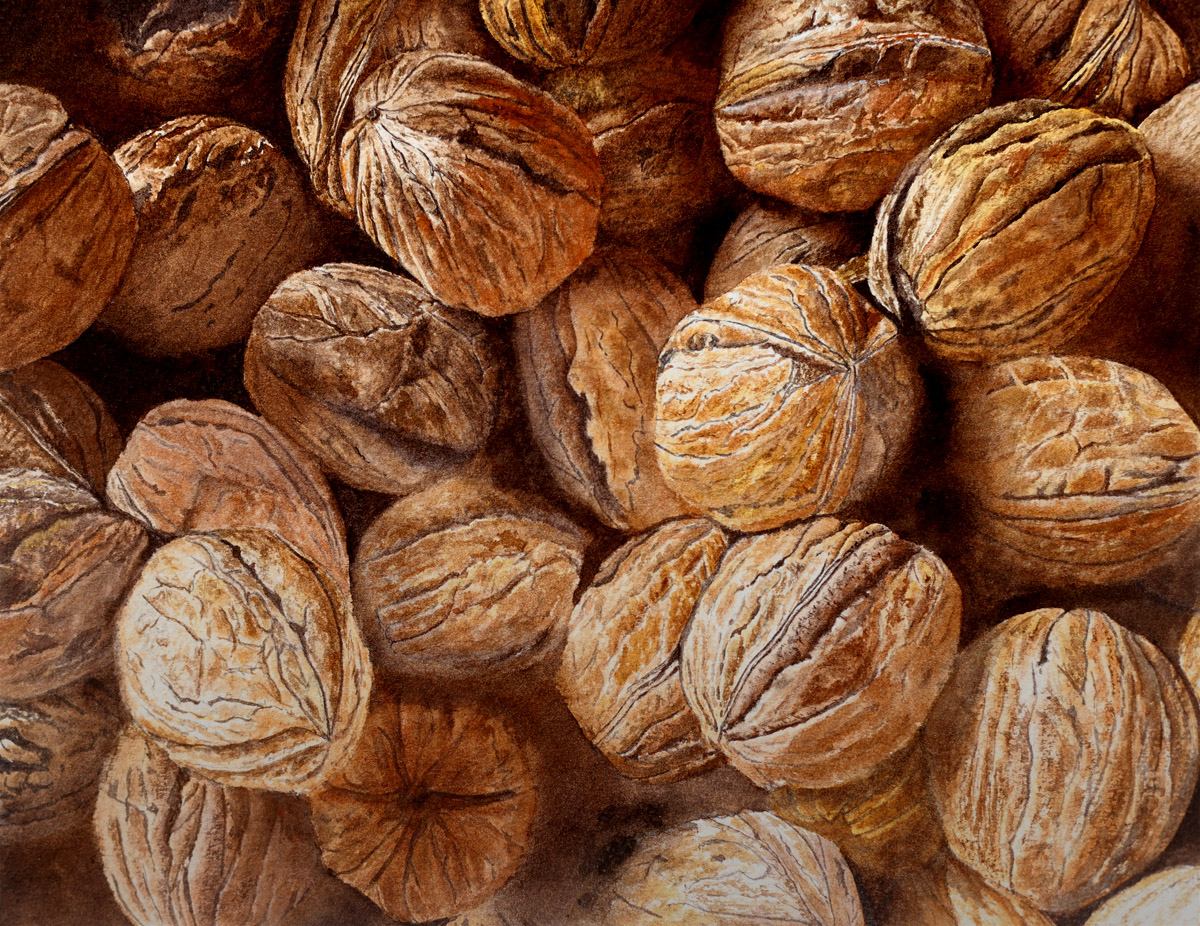 Watercolour painting by David Desormeaux of a bunch of walnuts